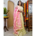 Dazzler Lehenga with Canvas Set